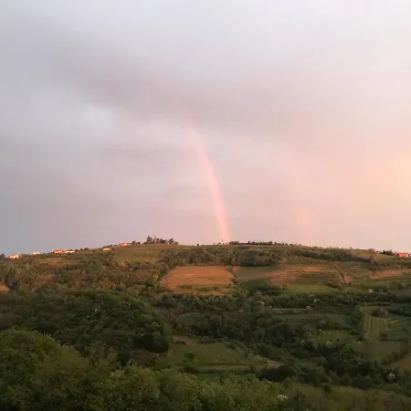Enam * Kojsko