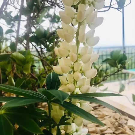 Enam Δωμάτια σε οικογενειακή κατοικία *