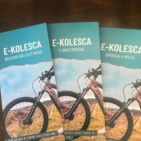 Enam * Kojsko