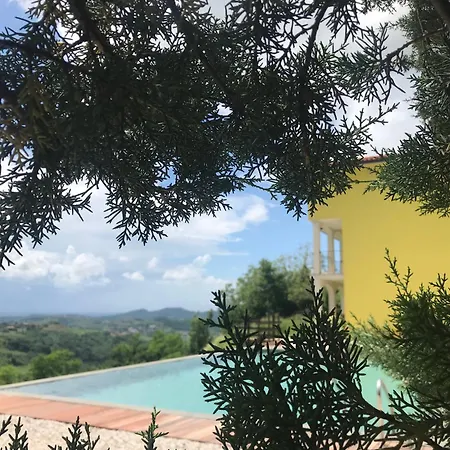 Enam Ostanak kod kuće *