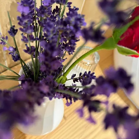 Kwatera prywatna Enam