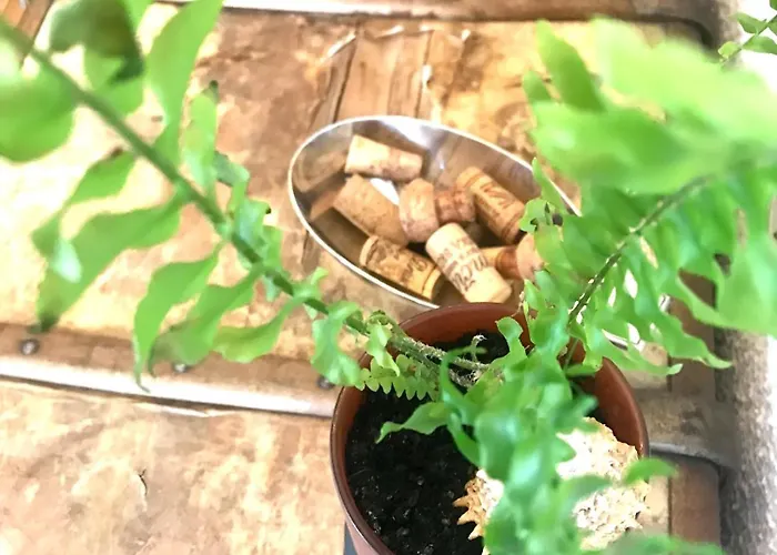 Homestay Enam Kojsko