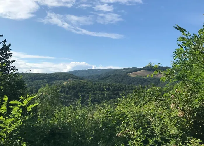 ホームステイ Enam