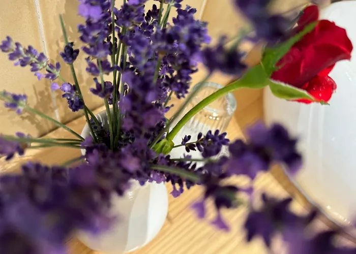 Δωμάτια σε οικογενειακή κατοικία Enam