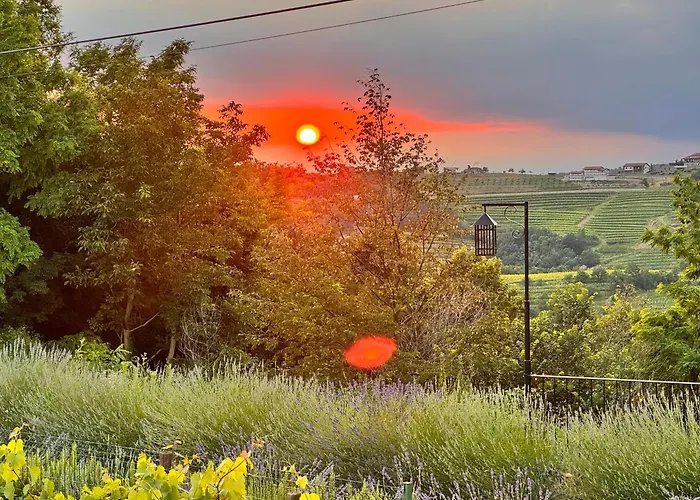 Enam ホームステイ